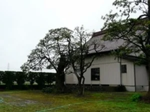 勝善寺 納骨堂・庭園墓地