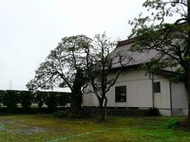 勝善寺 納骨堂・庭園墓地