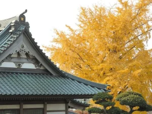 妙福寺 永代供養墓「蓮華廟」