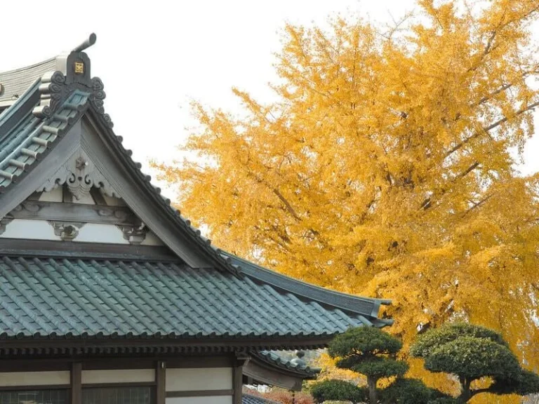 妙福寺 永代供養墓「蓮華廟」
