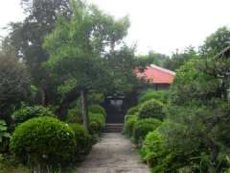 龍洞院 永代供養墓・樹木葬