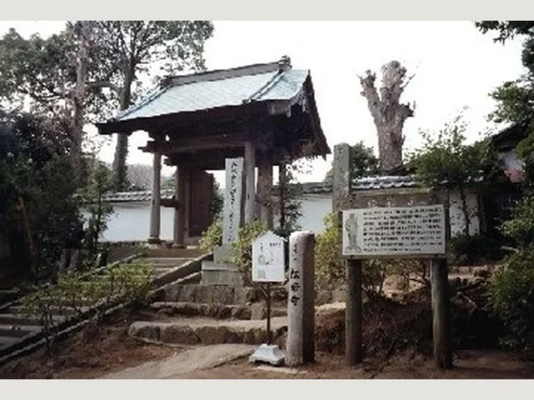 松岩寺 納骨・永代供養塔