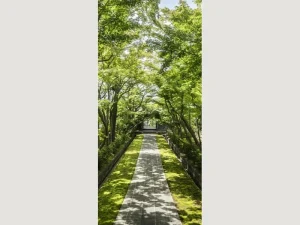 天嶽院 ふうがくの杜