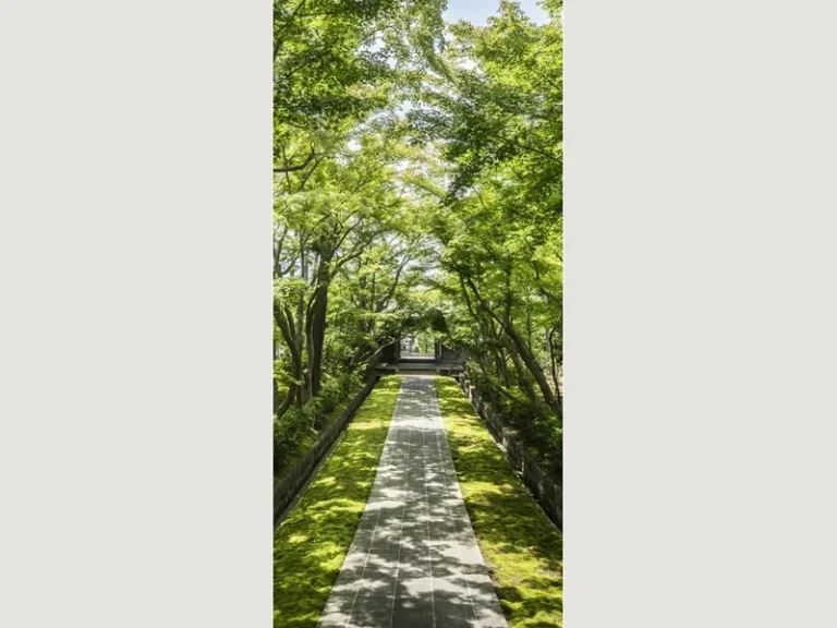 天嶽院 ふうがくの杜