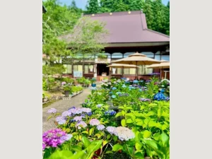 光照寺 永代供養墓