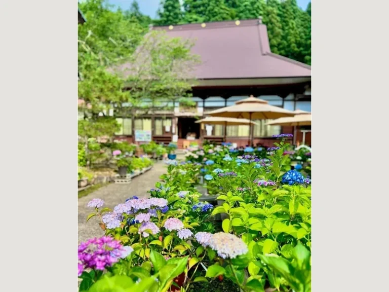 光照寺 永代供養墓