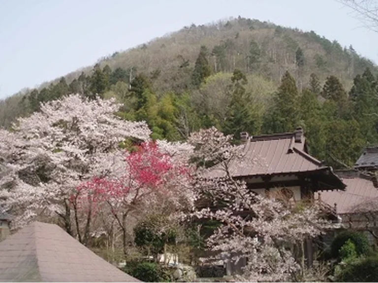 長應寺 観音霊廟