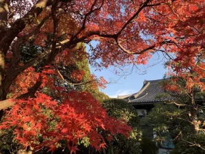義雲院 永代供養墓