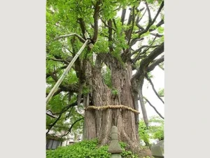 上沢寺 永代供養墓