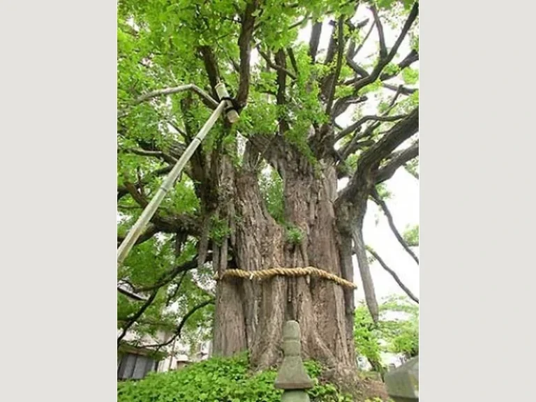 上沢寺 永代供養墓