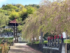 敬泉寺墓苑 永代供養墓