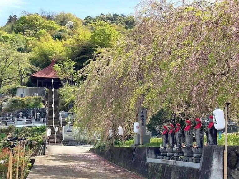 敬泉寺墓苑 永代供養墓
