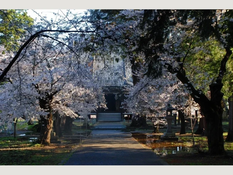 立正寺樹木葬墓